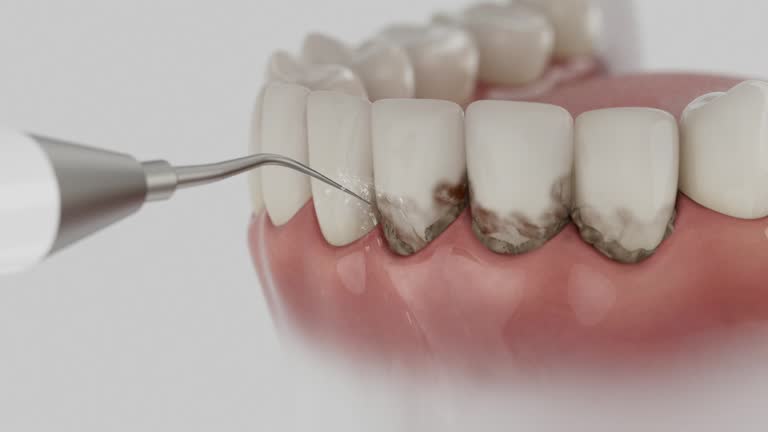 Reliable Dental contractor in Troy, NC by Dentist Open Now